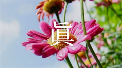 璦 人名|「菫」を使った名前、意味、画数、読み方、由来、成り立ちや名。